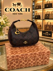 Coach Pink Signature Hobo Bag