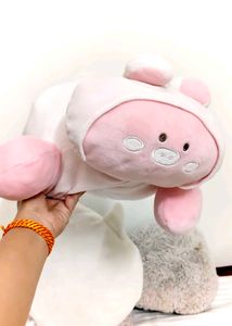 Cute soft plushie pillow and toy combo 🩷