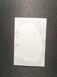 Big babol WWE sticker collectible - CHUCK PALUMBO