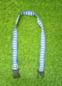 Blue &amp; White Striped belt (freebie)
