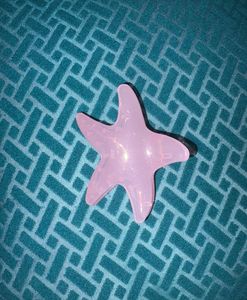 Combo of 3 Cute Starfish Hair Clips
