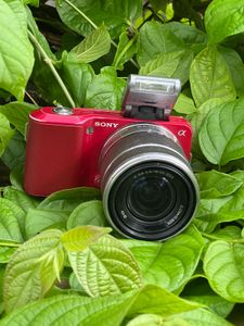 Sony Alpha Nex 1 Camera - Red