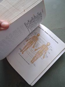 Dorland's Medical Dictionary