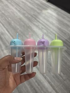 Popsicle Mold Set