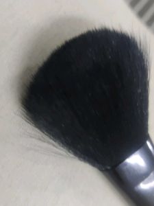 VEGA Blush Brush