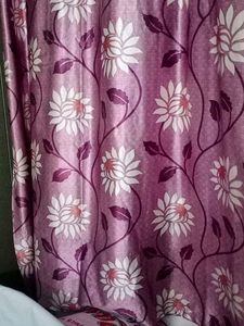 Purple Curtains 6