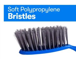 Dust Pan With Brush