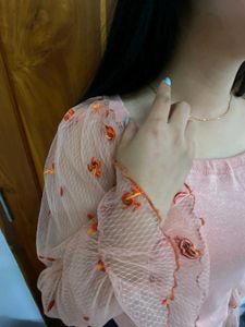 Sheer Embroidered Mesh Blouse