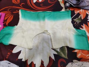 Ethnic Blouse With Saree