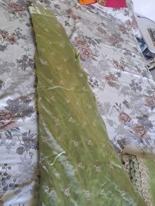 Pure Tissue pista Choli with stylish blouse