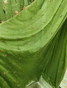 Beautiful Green Embroidered Kurta Set