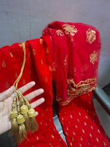 Golden Blouse, Red Ethnic Pant with Dupatta 💥
