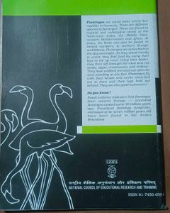 Flamingo Textbook for Class XII