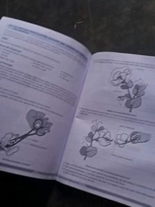 CBSE Class 12 Biology Practical Book