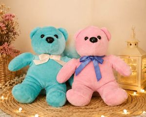 Cute Teddy Bear Pair – Pink & Blue Soft Plush Toys