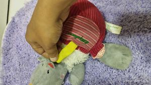 Colorful Plush Toy