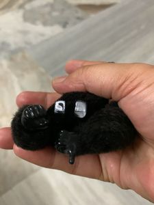 Kipling Cute Gorilla Keychain