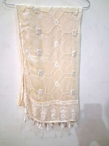 Elegant Chikankari Kurta(georgette)Dupatta(shiffon