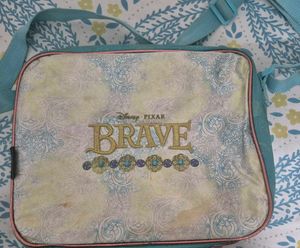 Combo of lunch bag and sling bags