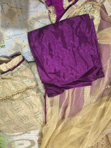 Elegant lahenga with Embellishments