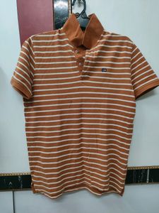 Tshirt For Men