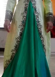Designer ethnic gown