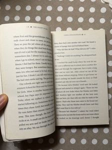 The Night Diary by Veera Hiranandani