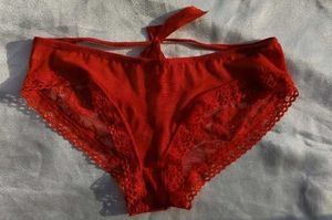 Red Lace Briefs
