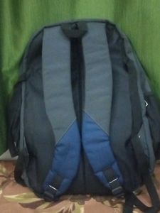 Stylish Grey and Blue Backpack