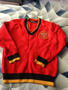Red V-Neck Sweater