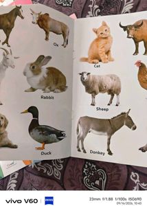 Set of 7 Early Learning Picture Books