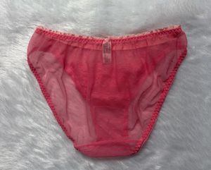 Sheer Pink Lace Briefs