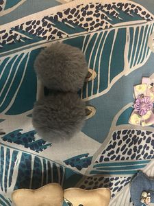 Cute Hair Accessories Lot