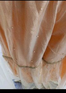 bust 40 Elegant Beige Net Embroidered Suit