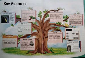 Class 7 Collins Science Now Textbook