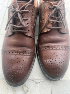 Men's Casual Brown Shoes