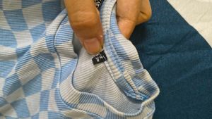 Blue Checkered Cropped Top