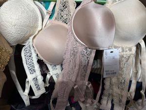 Lace Trimmed Padded Bras