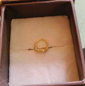 Gold Nose Pin