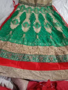 Elegant Green &amp; Gold Anarkali Suit
