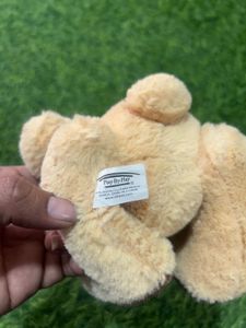 Cute Teddy Bear Plush