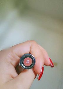 Renee Gloss Stay Lipstickk
