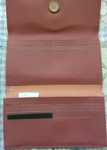 Baggit Brand Clutch