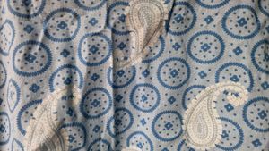 Blue Paisley Print Kurta / cotton