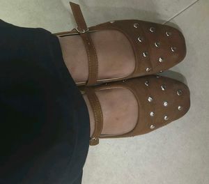 Cute Brown Mary Jane Flats