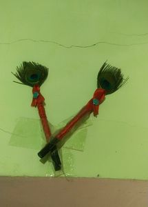 Beautiful Pens With Peacock Feathers