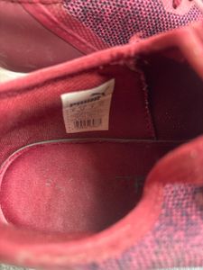 Puma Maroon  Sneakers