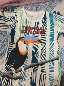 Tropical Explorer Toucan T-Shirt