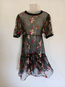 Chic Embroidered Mesh Dress