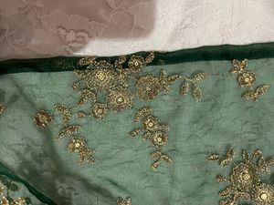 Backless Chatpate top with Dupatta